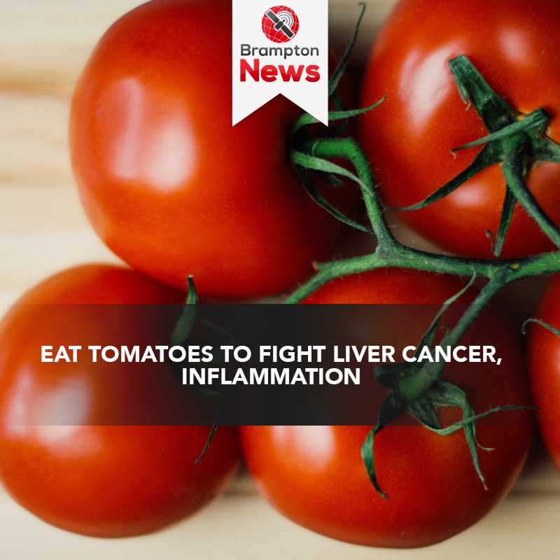 Eat tomatoes to fight liver cancer, inflammation Bramptonnews